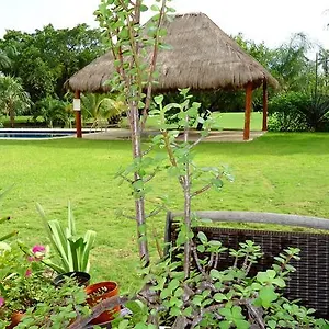 https://bb-moms-house.quintano-roohotels.com