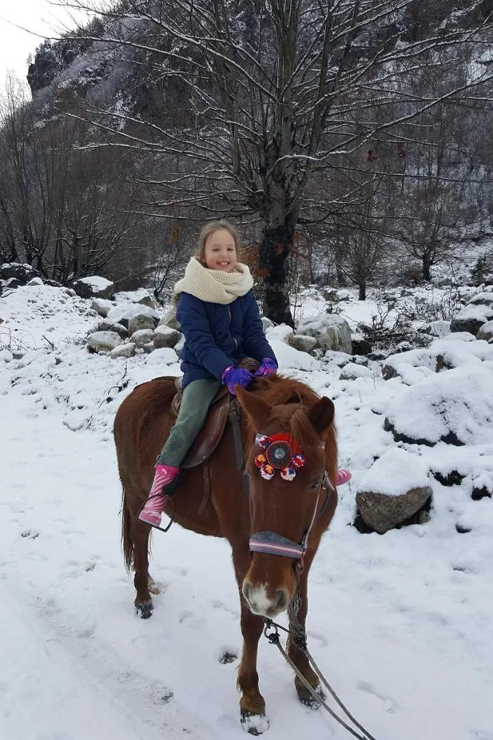 Holiday park Rezidenca: Quku I Valbones Hotel